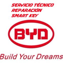 Falla Smart Key BYD – Jonas Henrriquez